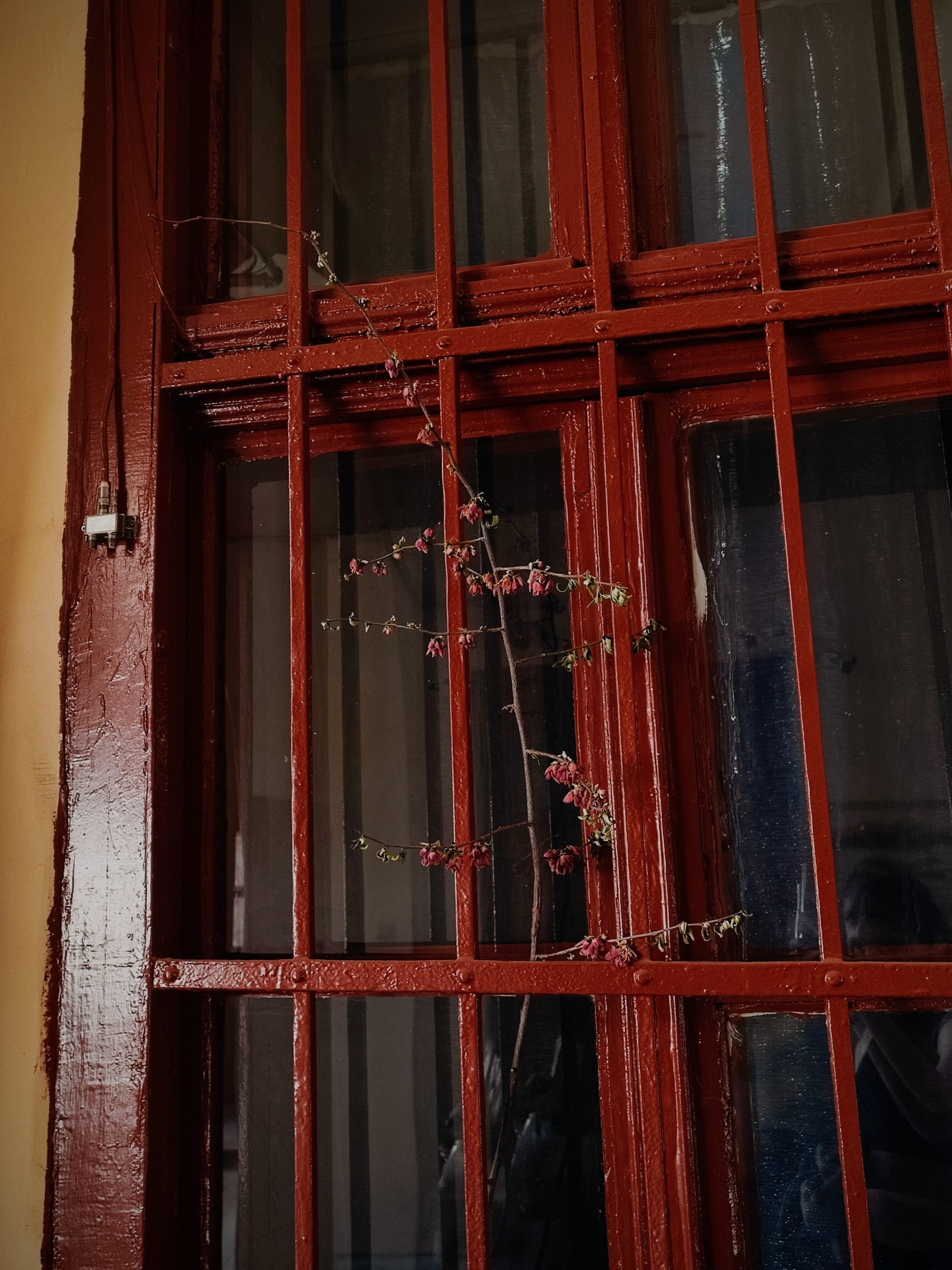 Photography composition exercise