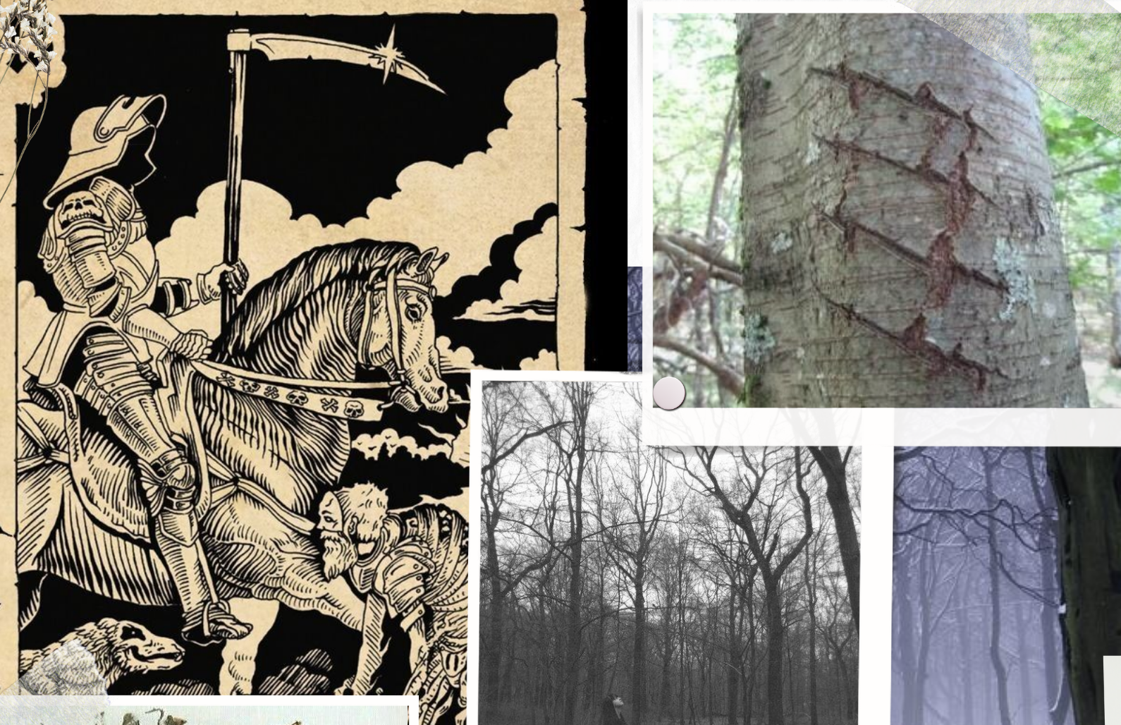 Mood board & Film Genre